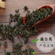 吉林长白山中药材蒲公英 无硫晒干婆婆丁 蒲公英茶材料散装批发